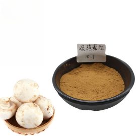 Pure Natural Agaricus Bisporus Powder, Agaricus Bisporus Extract