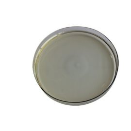 Factory Supply High Quality Alpha-Bisabolol CAS 515-69-5