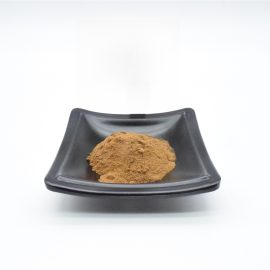 Premium Armillaria Mellea Extract