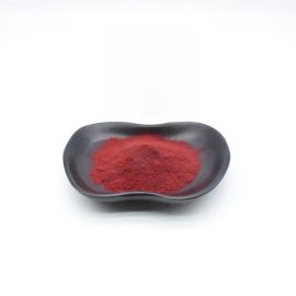 High Quality Bilirubin Powder Bulk for Global Distribution CAS No. 635-65-4