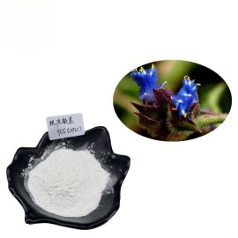 Pure Cyanotis Arachnoidea Extract Beta Ecdysterone Powder Ecdysone 90% Beta Ecdys