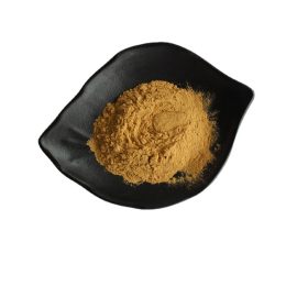 Supply Loss Weight 100% Natural Ecklonia Cava Extract Powder