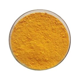 Natural Ginger Extract Gingerols 5% for Food Additive