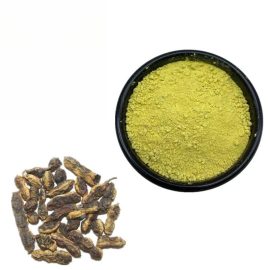Root Extract Purity Kaempferia Extract Powder CAS 520-18-3 Kaempferol