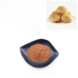 Organic Lions Mane Mushroom Extract Lion′ S Mane Mushroom Powder Health Food