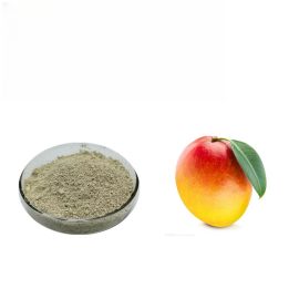 Best Price Pure Mango Leaf Extract 95% Mangiferin CAS 4773-96-0 Mangiferin