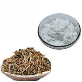 Pure Natural Rabdosia Rubescens Extract 98% Oridonin Powder Cas 28957-04-2