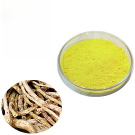OEM Supply Natural Fisetin Liposomal Fisetin 98%