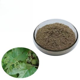 Vine Tea Extract Dmy Dihydromyricetin for Liver Protection