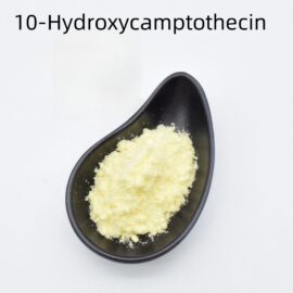 10-Hydroxycamptothecin 64439-81-2 API – Quality Assured for Your Business Needs