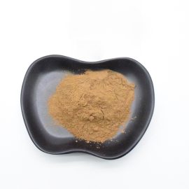 Supply 100% Pure Organic Healtncare Supplement Chia Seed Extract Powder