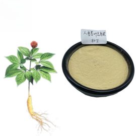 Top Quality Food Grade Ginseng Extract 60% Ginsenosides 99% Purity Ginsenosides