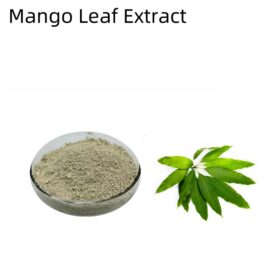 Best Price Pure Mango Leaf Extract 95% Mangiferin CAS 4773-96-0 Mangiferin