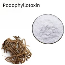 FactorySupply CAS 518-28-5 Natural Extract Powder 98% Podophyllotoxin