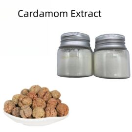 High Quality White Cardamom 2025